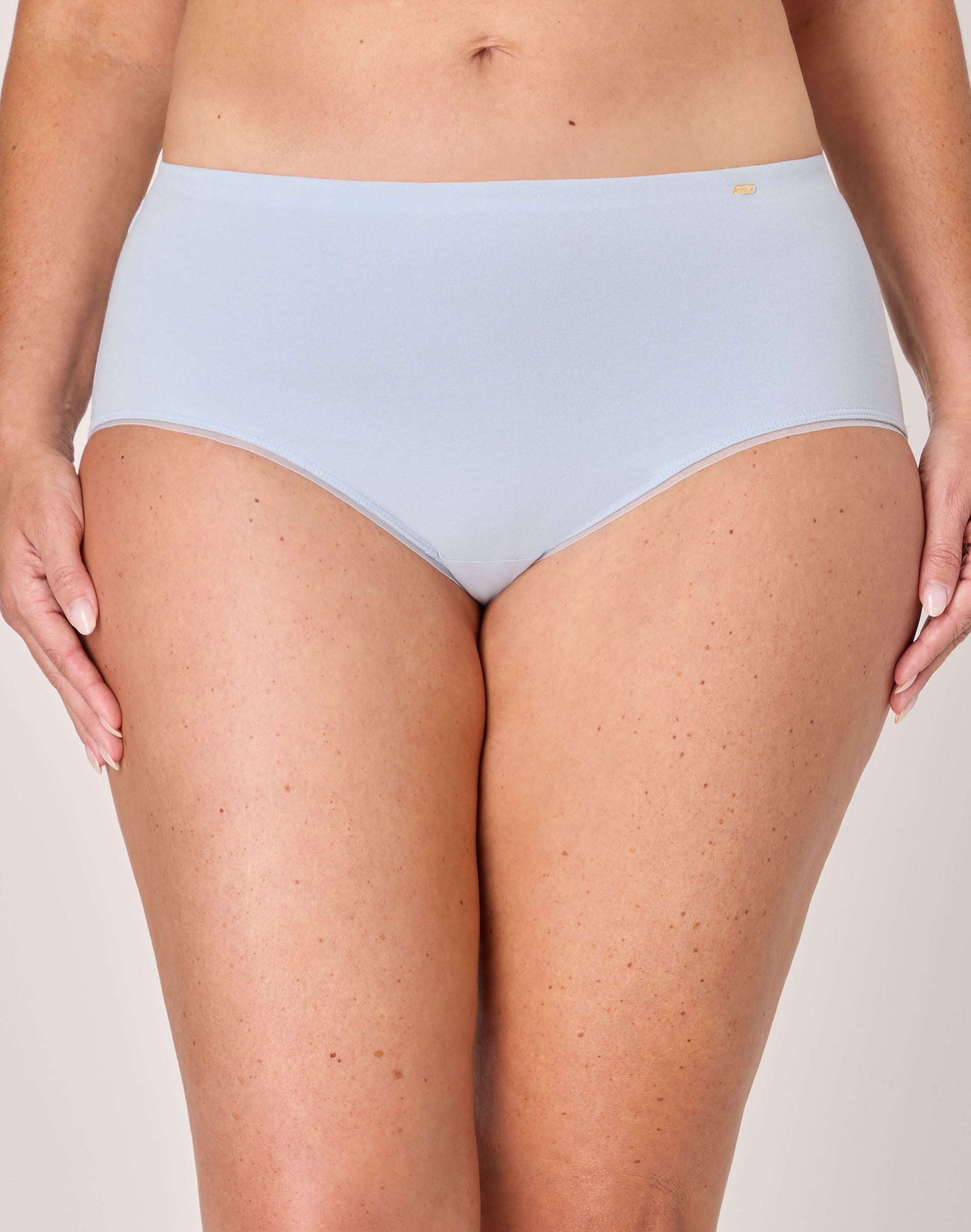 Bali Lux Underwear Brief, Light Tummy Support, Cotton Essentials, Moisture Wicking Salty Pepper Grey 5 Women's