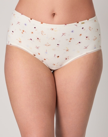 Bali Lux Cotton Essentials Hipster Underwear