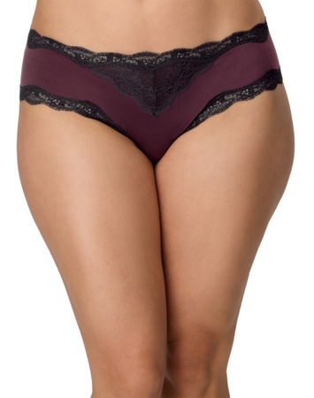 Cheeky Hipster Underwear, Lace & Soft Microfiber